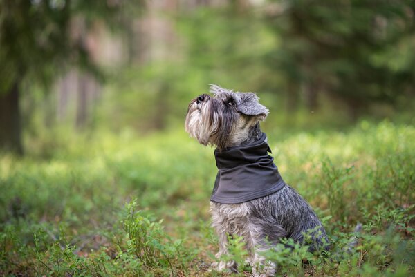 Pomppa HuppuPomppa Neck Warmer