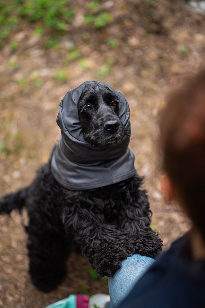 Pomppa HuppuPomppa Neck Warmer