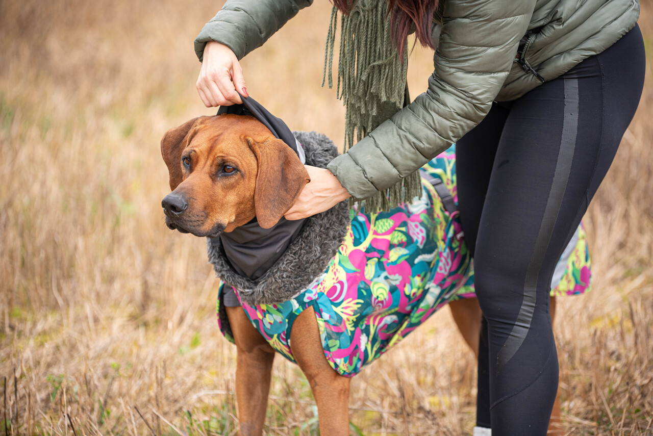 Pomppa HuppuPomppa Neck Warmer