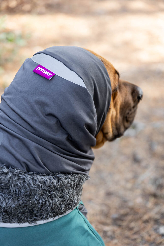 Pomppa HuppuPomppa Neck Warmer