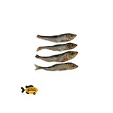 Sn'urk Sn'urk Sprotjes Sn'urk Sn'urk Sprotjes