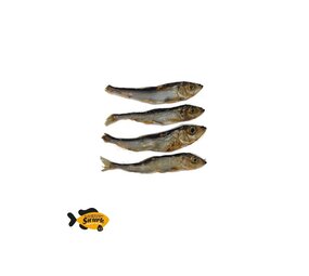 Sn'urk Sn'urk Sprotjes