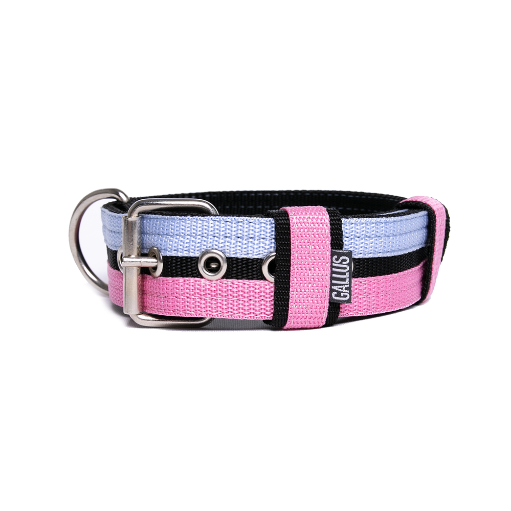 Gallus Gallus halsband Babyblue Pink Gallus Gallus halsband Babyblue Pink
