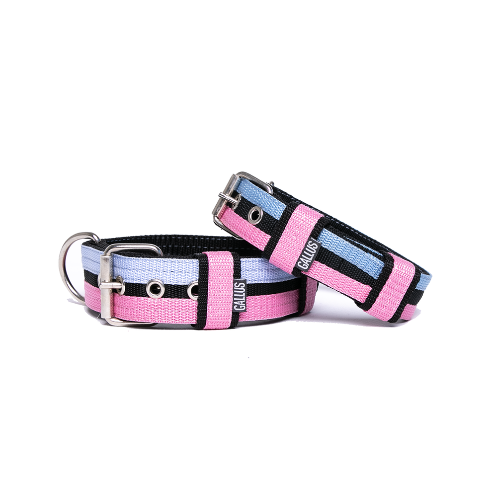 Gallus Gallus halsband Babyblue Pink Gallus Gallus halsband Babyblue Pink