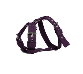 MAG MAG Hondentuig Full Softshell Donkerpaars MAG MAG Hondentuig Full Softshell Donkerpaars