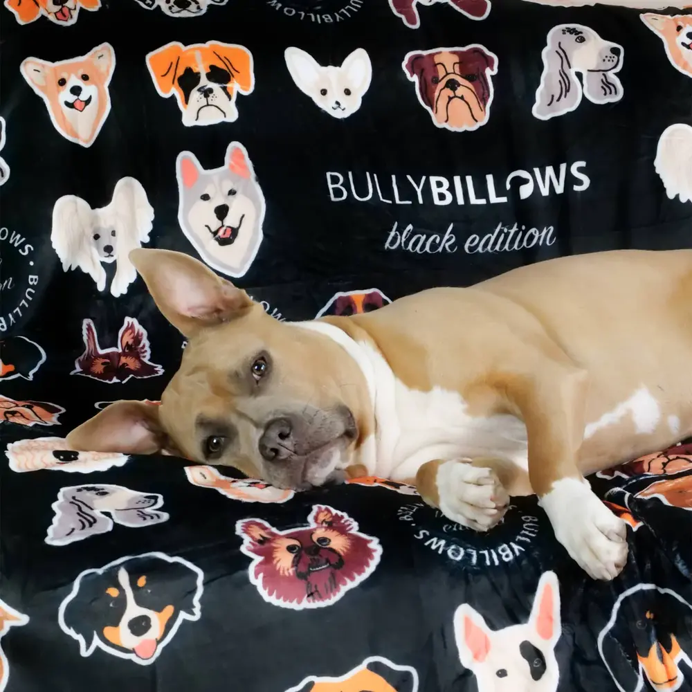 BullyBillows BullyBillows Luxe kleedje voor hond en baasje Zwart BullyBillows BullyBillows Luxe kleedje voor hond en baasje Zwart