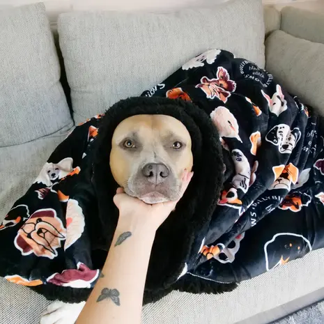 BullyBillows BullyBillows Luxe kleedje voor hond en baasje Zwart BullyBillows BullyBillows Luxe kleedje voor hond en baasje Zwart