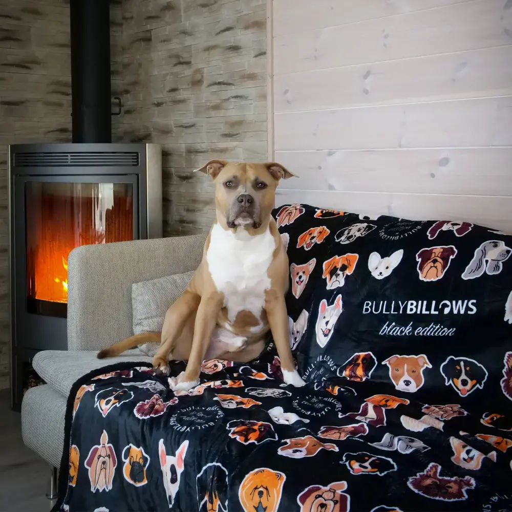 BullyBillows BullyBillows Luxe kleedje voor hond en baasje Zwart BullyBillows BullyBillows Luxe kleedje voor hond en baasje Zwart