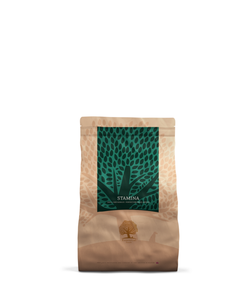 Essential Foods Essential Foods - Stamina Essential Foods Essential Foods - Stamina