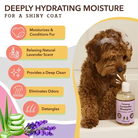 Natural Dog Company Natural Dog Company Calming Lavender Shampoo Natural Dog Company Natural Dog Company Calming Lavender Shampoo