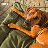 HIK9 HIK9 Omkeerbaar kussen Waterresistant Olijfgroen/Bruin Maat S