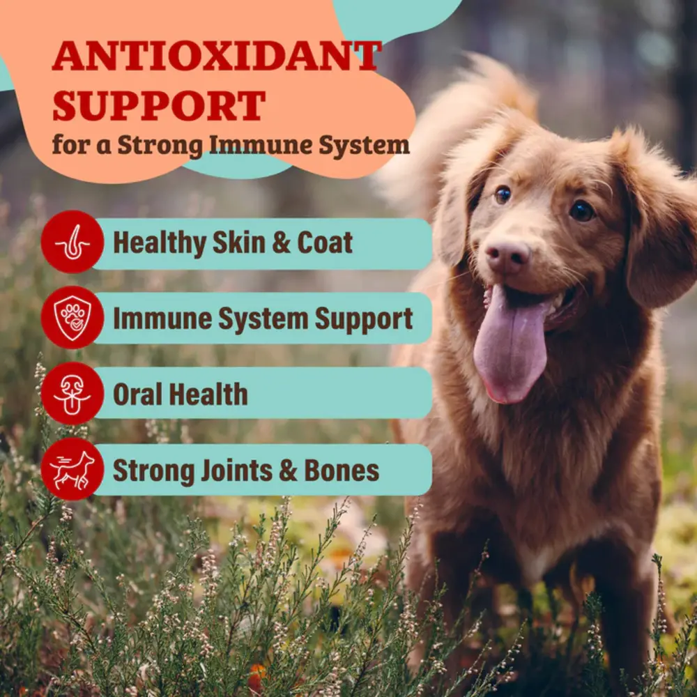 Natural Dog Company Natural Dog Company Antioxidant Berry Granules Natural Dog Company Natural Dog Company Antioxidant Berry Granules
