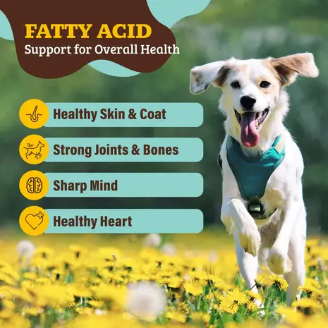 Natural Dog Company Natural Dog Company Super Seed Granules Natural Dog Company Natural Dog Company Super Seed Granules