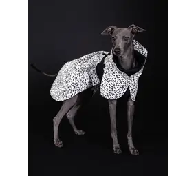 Paikka PAIKKA Raincoat 2.0 Glow in the dark Hondenjas