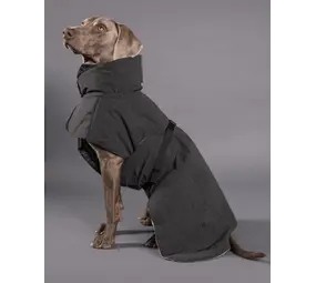 Paikka Paikka Visibility WinterJacket Dark Hondenjas