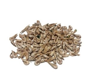 Hollandse garnaaltjes