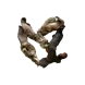 Hokuo Hokuō® Konijnenoren gevriesdroogd THT KORTING Hokuo Hokuō® Konijnenoren gevriesdroogd THT KORTING