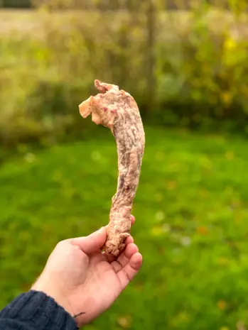 Hokuo Hokuō® Kippennekken gevriesdroogd Hokuo Hokuō® Kippennekken gevriesdroogd