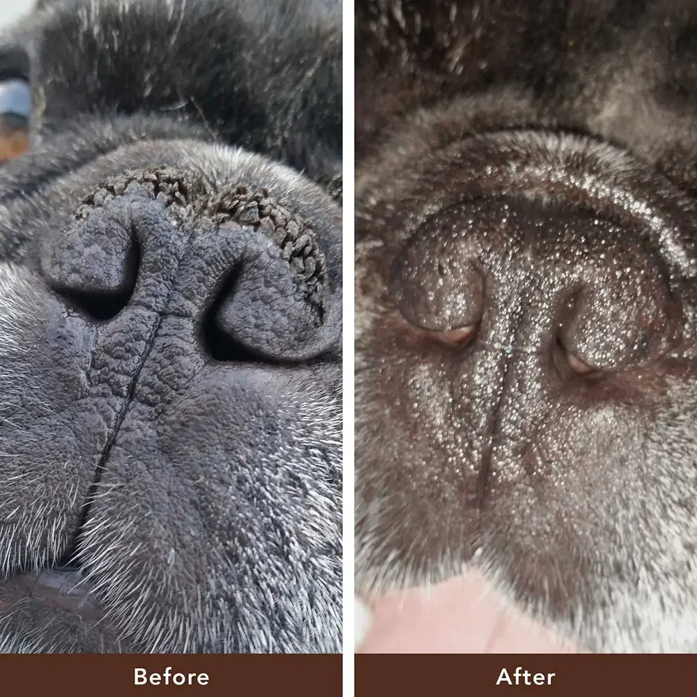 Natural Dog Company Natural Dog Company Snout Soother Natural Dog Company Natural Dog Company Snout Soother
