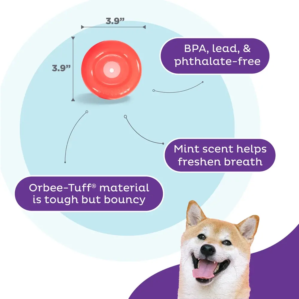 Planet Dog Outward Hound Orbee-Tuff Snoop S Planet Dog Outward Hound Orbee-Tuff Snoop S