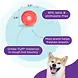 Planet Dog Outward Hound Orbee-Tuff Snoop S Planet Dog Outward Hound Orbee-Tuff Snoop S