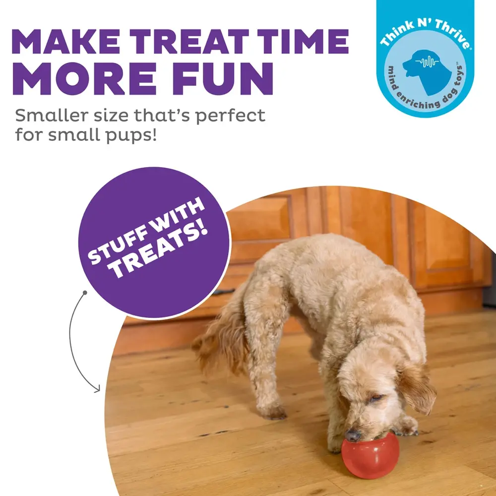 Planet Dog Outward Hound Orbee-Tuff Snoop S Planet Dog Outward Hound Orbee-Tuff Snoop S