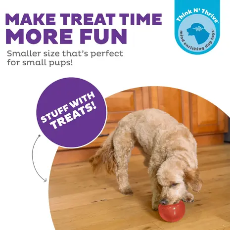 Outward Hound Outward Hound Orbee-Tuff Snoop S