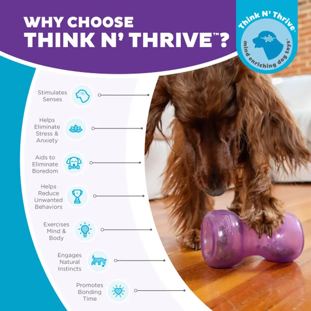 Outward Hound Outward Hound Double Snoop