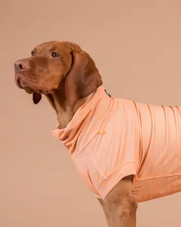 Paikka Paikka UV & Bug Shirt Peach Paikka Paikka UV & Bug Shirt Peach