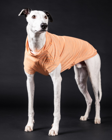 Paikka Paikka UV & Bug Shirt Peach Paikka Paikka UV & Bug Shirt Peach