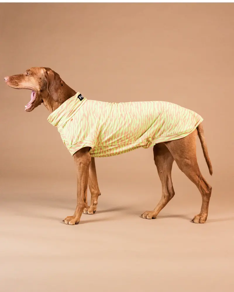 Paikka Paikka UV & Bug Shirt Matcha Paikka Paikka UV & Bug Shirt Matcha