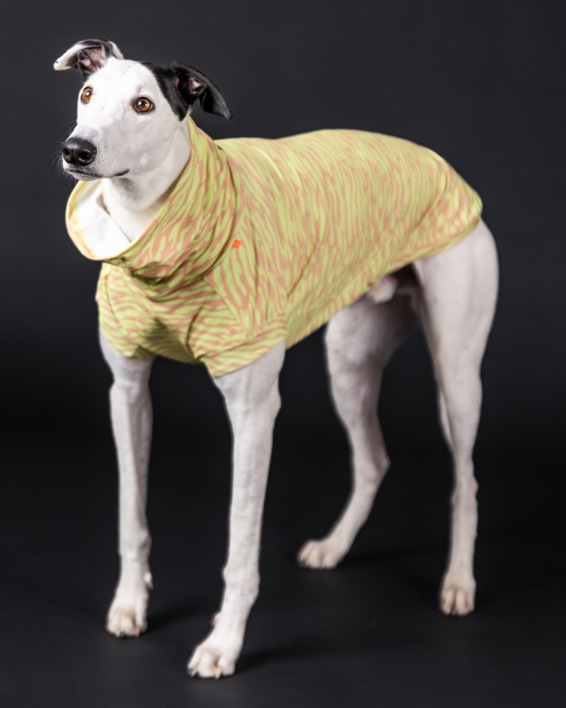 Paikka Paikka UV & Bug Shirt Matcha Paikka Paikka UV & Bug Shirt Matcha