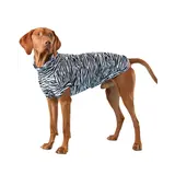 Paikka Paikka UV & Bug Shirt