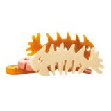 Ossobello Visgraat (klein) los Ossobello Visgraat (klein) los