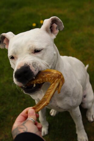 Eendenvleugels 250 gram