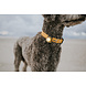 Orbiloc Orbiloc Dog Dual LED lampje Orbiloc Orbiloc Dog Dual LED lampje