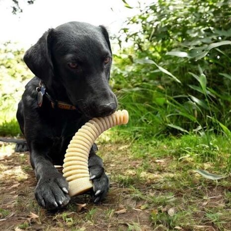 Sodapup Sodapup Honey Bone Dental Antler Nylon Chew Toy