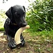 Sodapup Sodapup Honey Bone Dental Antler Nylon Chew Toy Sodapup Sodapup Honey Bone Dental Antler Nylon Chew Toy