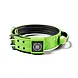BullyBillows Bullybillows 5cm Sporting Halsband met handvat BullyBillows Bullybillows 5cm Sporting Halsband met handvat