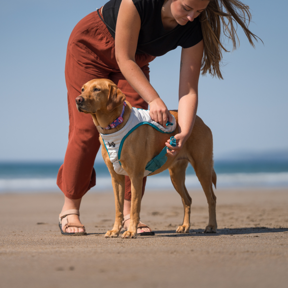 Non Stop Dogwear Non Stop Dogwear Koelvest Non Stop Dogwear Non Stop Dogwear Koelvest