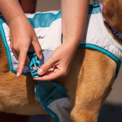 Non Stop Dogwear Non Stop Dogwear Koelvest Non Stop Dogwear Non Stop Dogwear Koelvest