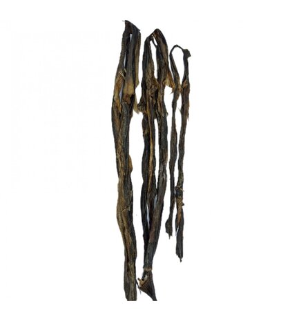 Sn'urk Sn'urk Meervalhuid Sn'urk Sn'urk Meervalhuid