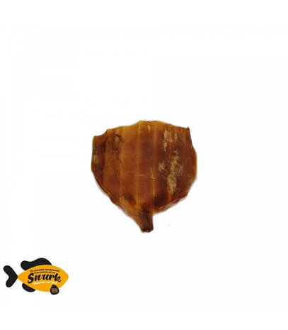 Sn'urk Sn'urk Inktvis Sn'urk Sn'urk Inktvis