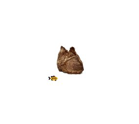 Sn'urk Sn'urk Tonijnfilet Moten