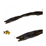 Sn'urk Sn'urk Paling **Exclusief en eenmalig verkrijgbaar** Sn'urk Sn'urk Paling **Exclusief en eenmalig verkrijgbaar**