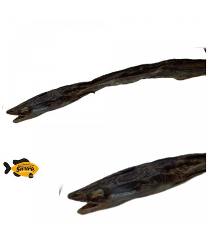 Sn'urk Sn'urk Paling **Exclusief en eenmalig verkrijgbaar** Sn'urk Sn'urk Paling **Exclusief en eenmalig verkrijgbaar**