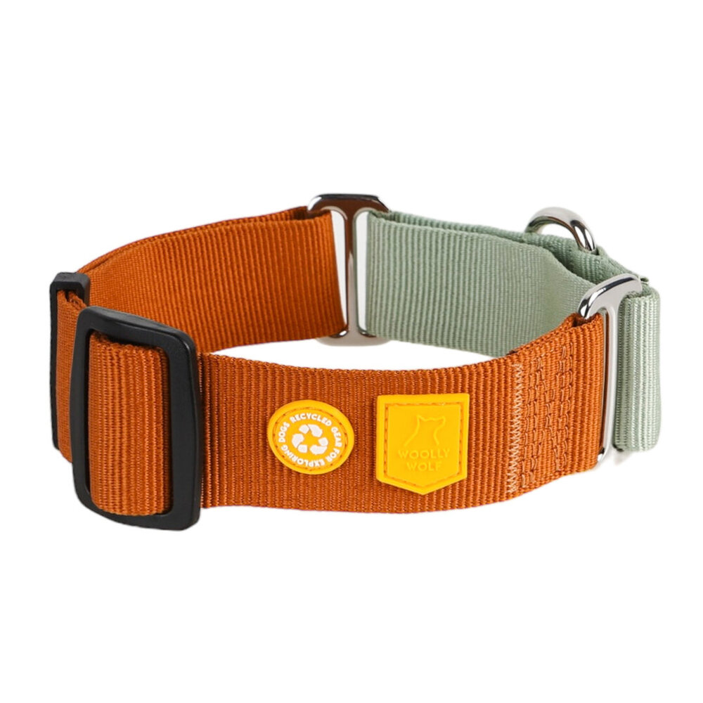 Woolly Wolf Woolly Wolf Color Block Martingale Halsband Terracotta Mix