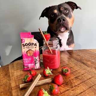 Vegetarische snacks voor honden