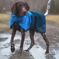 ASENKU Hondenwinterjas, fleece hondenjas, geruite omkeerbare vest, waterdicht, winddicht, koud weer kleding voor kleine, middelgrote en grote honden (rood, S