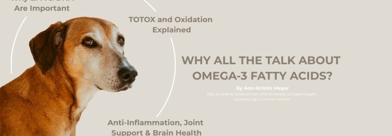 Omega-3 vetzuren